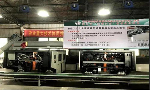 科技引領(lǐng)，協(xié)同創(chuàng)新 香菇工廠化生產(chǎn)開(kāi)啟共同富裕新篇章
